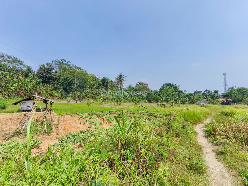 Jalan Kembang Kuning Bogor