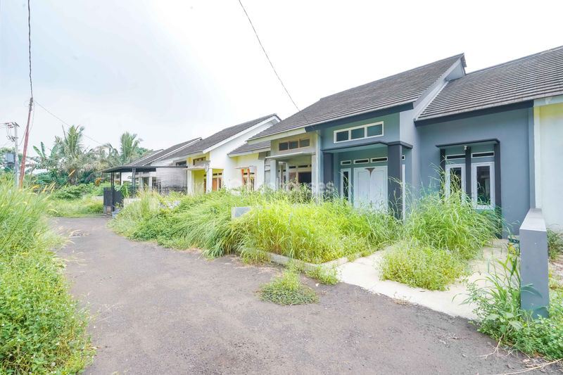 Perumahan Djohar 6 BLok C No.16