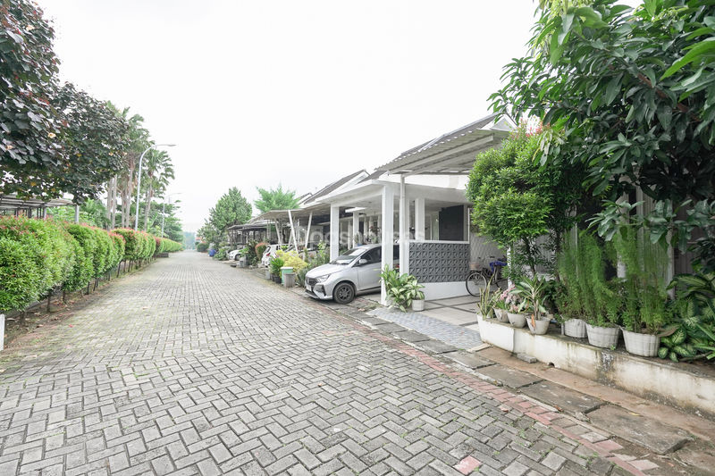 Springville Residence