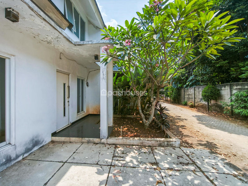 Palomino Residence