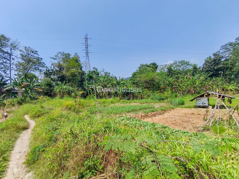 Jalan Kembang Kuning Bogor