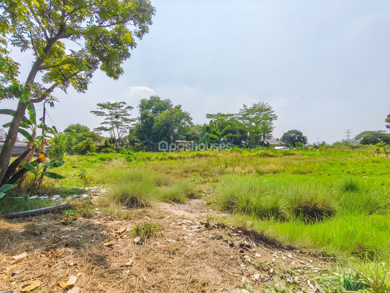 Jalan Kembang Kuning Bogor