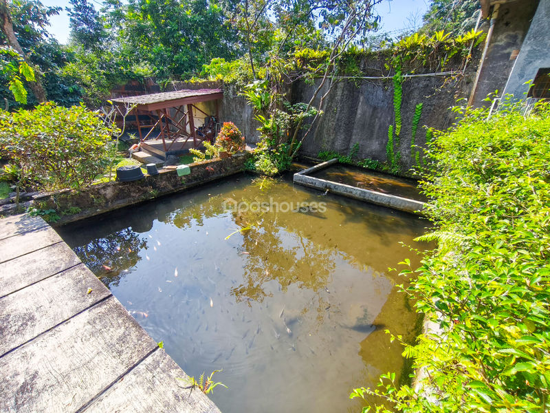 Jalan Kampung Batu Gede No.2 Bogor