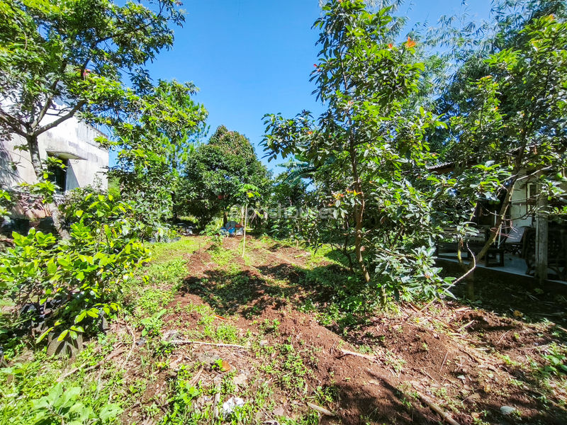 Jalan Kampung Pajeleran Cibinong