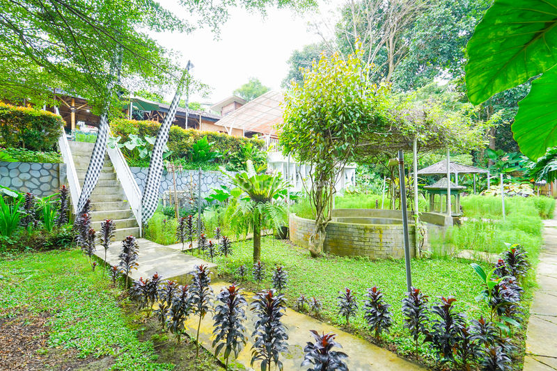 Villa Saung Ibu Bogor