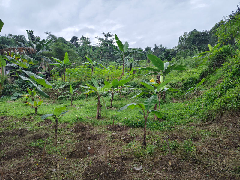 Jalan Raya Bojong Koneng