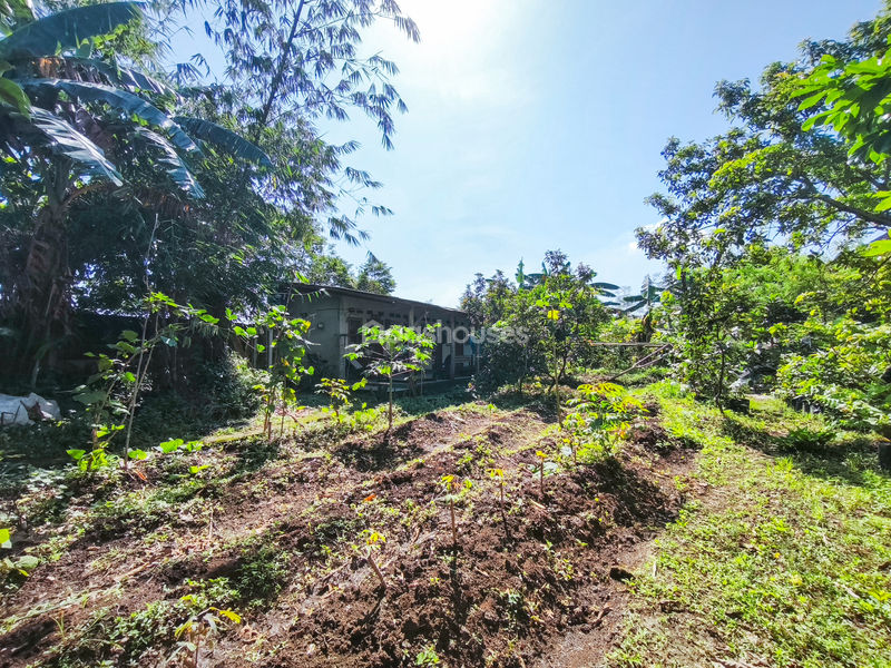 Jalan Kampung Pajeleran Cibinong