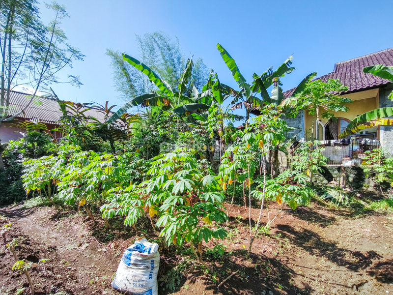 Jalan Kampung Pajeleran Cibinong