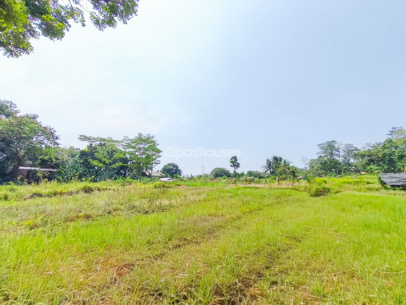Jalan Kembang Kuning Bogor