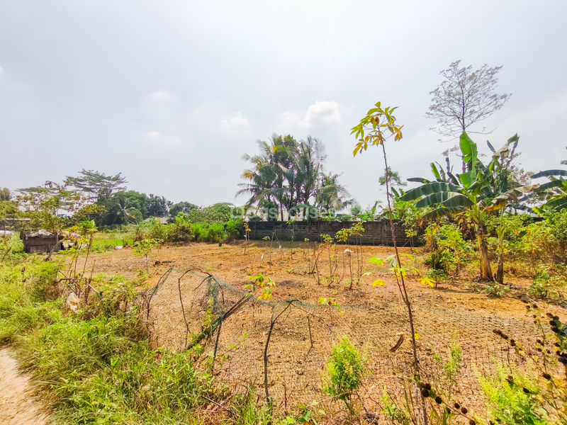 Jalan Kembang Kuning Bogor