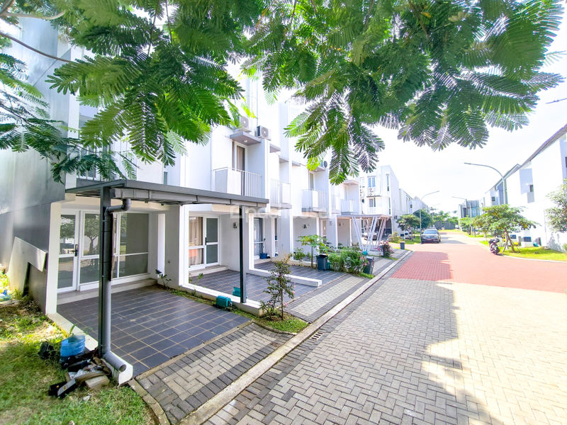 Cluster Myza BSD