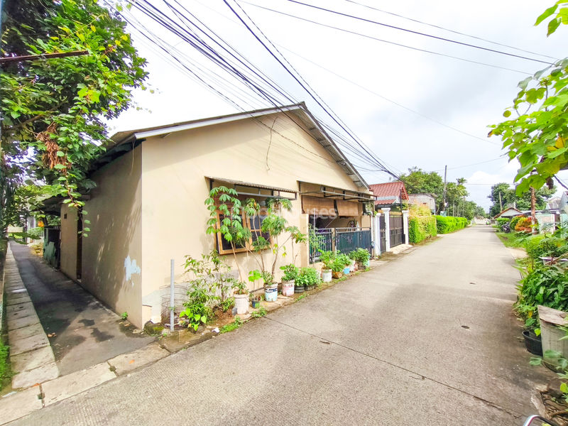 Jalan Anggrek Pamulang