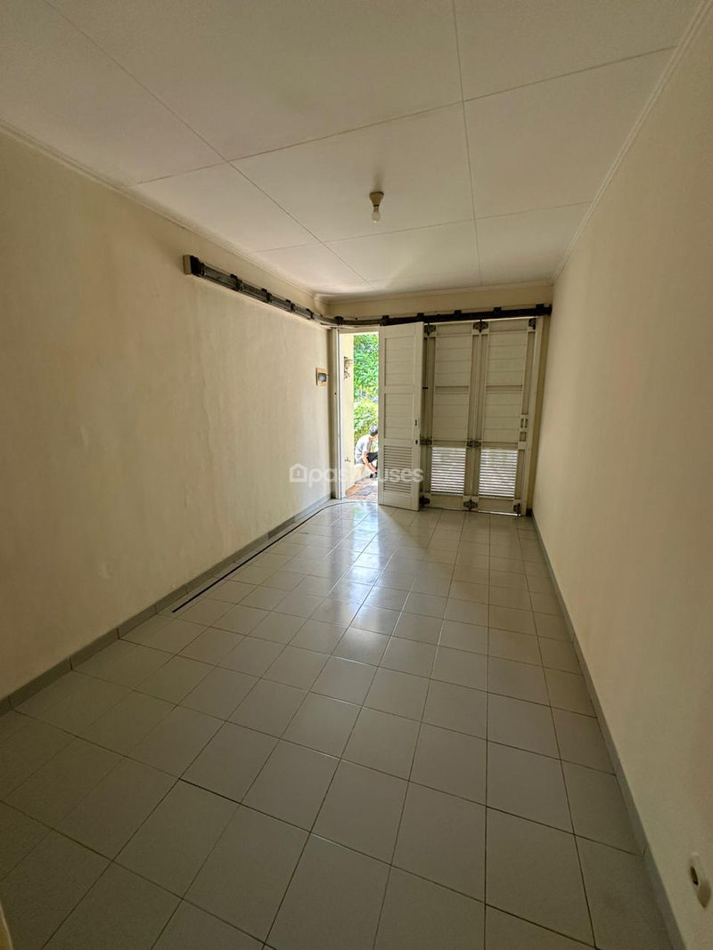 Cluster Sutera Olivia XII No.31
