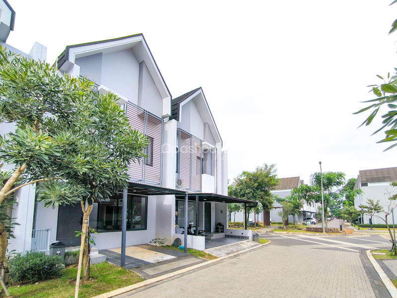 Cluster Myza BSD