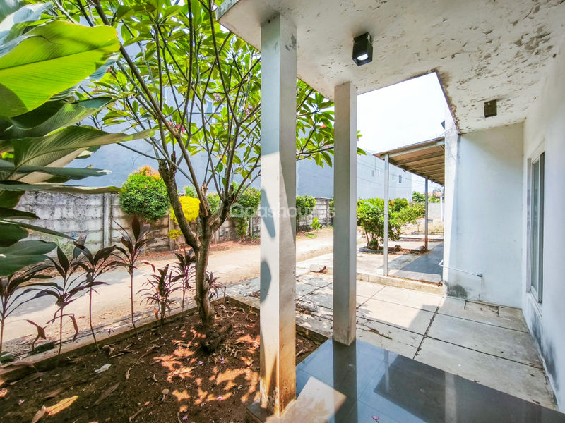 Palomino Residence