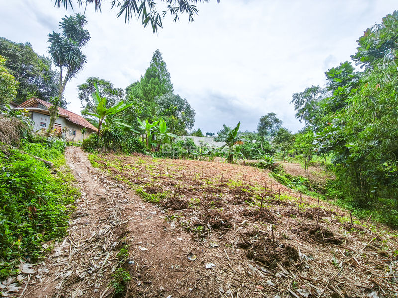 Jalan Raya Bojong Koneng