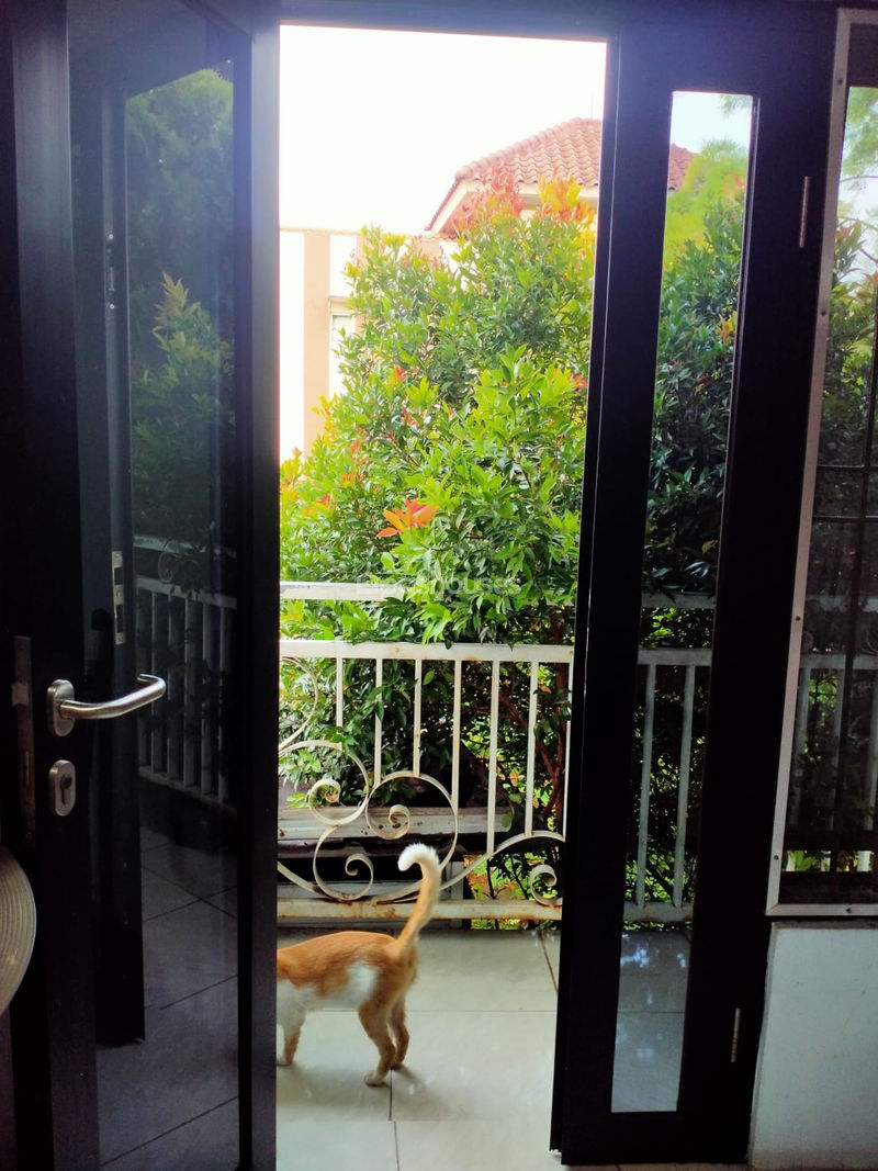 Jalan Damar X Blok D No.37 Bekasi