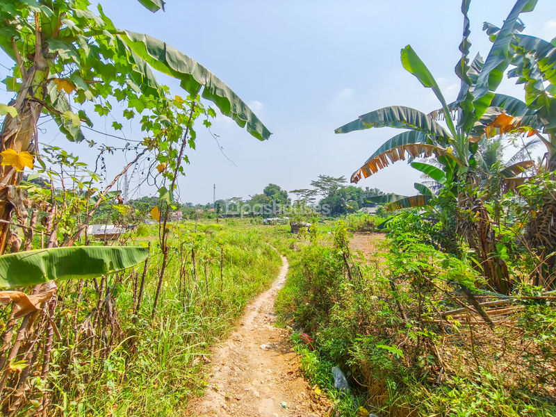 Jalan Kembang Kuning Bogor