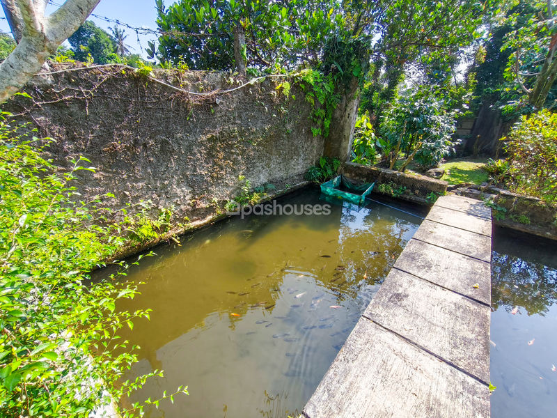 Jalan Kampung Batu Gede No.2 Bogor