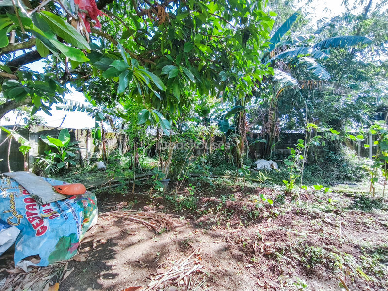 Jalan Kampung Pajeleran Cibinong