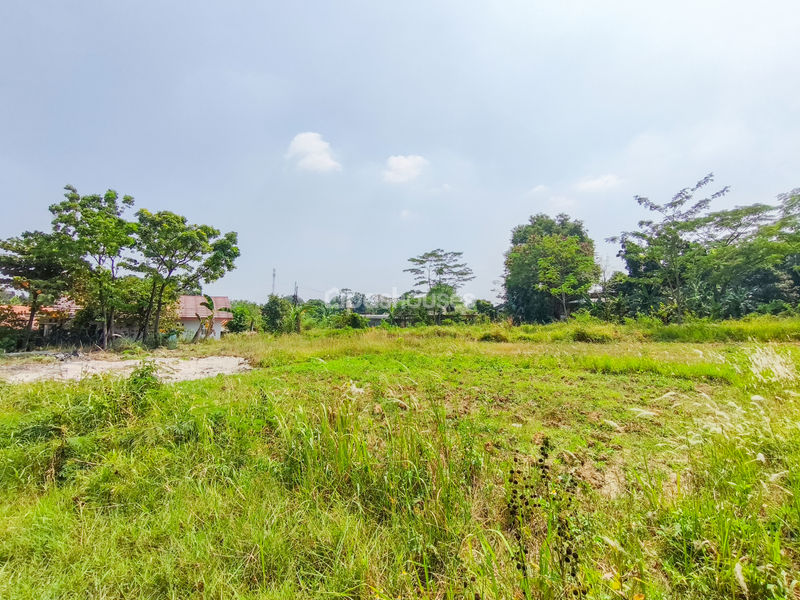 Jalan Kembang Kuning Bogor