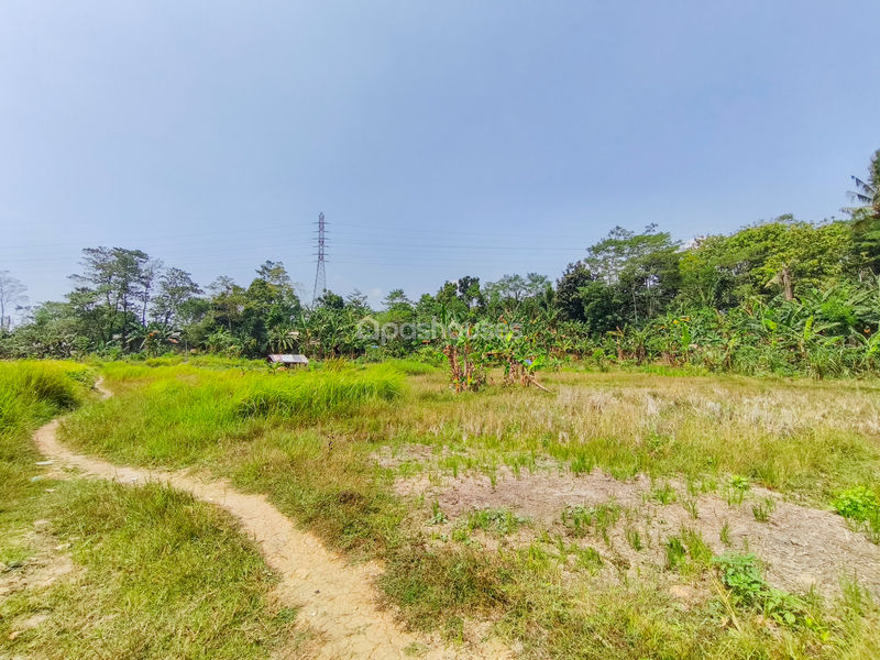 Jalan Kembang Kuning Bogor