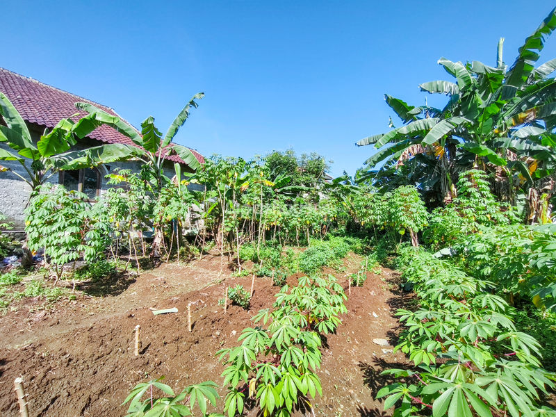 Jalan Kampung Pajeleran Cibinong