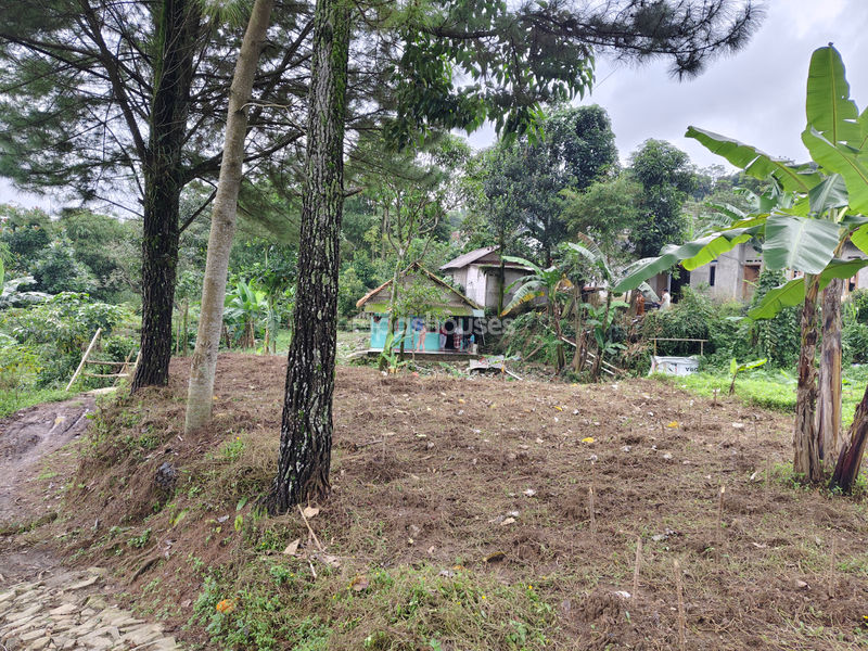 Jalan Raya Bojong Koneng
