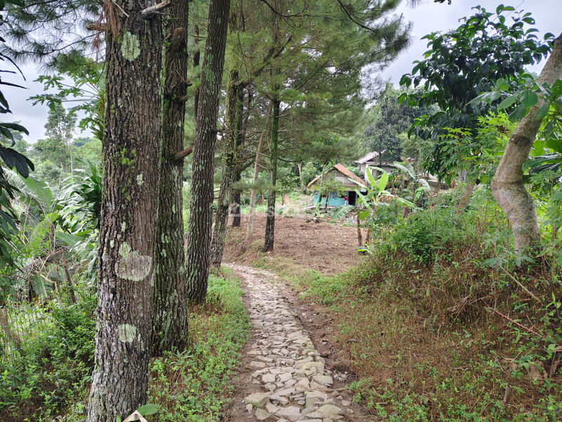 Jalan Raya Bojong Koneng