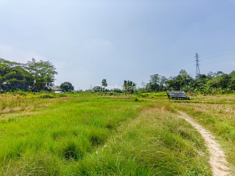 Jalan Kembang Kuning Bogor