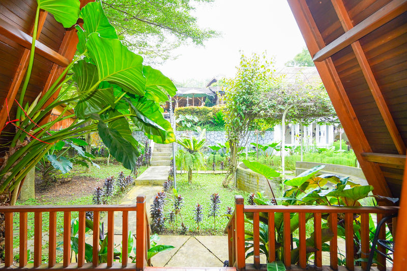 Villa Saung Ibu Bogor
