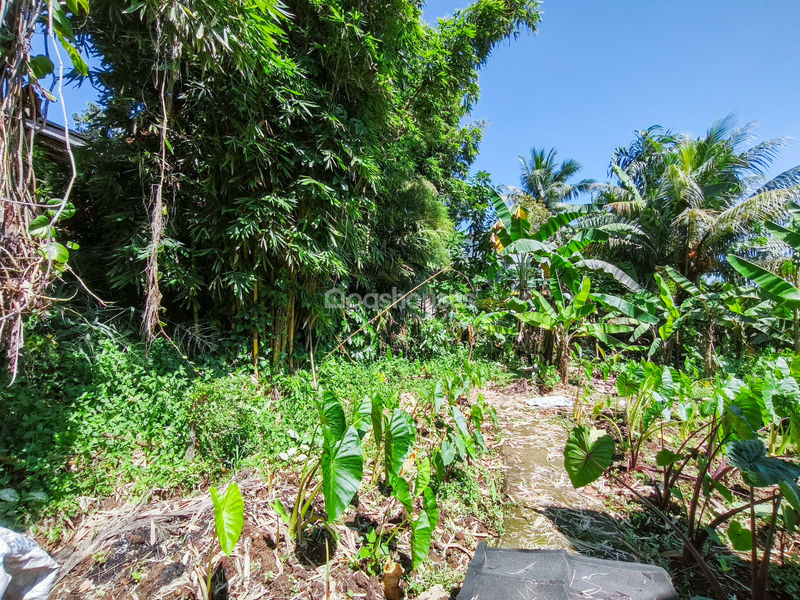 Jalan Kampung Pajeleran Cibinong