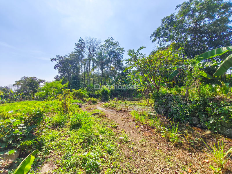 Jalan Kampung Batu Gede No.2 Bogor
