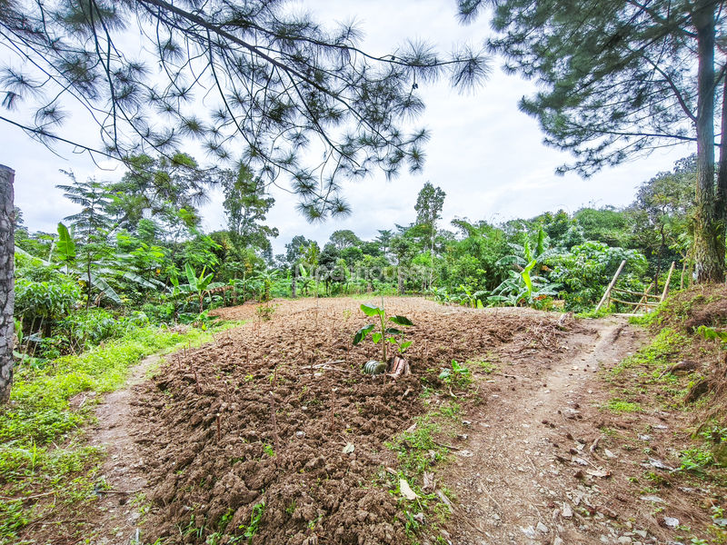 Jalan Raya Bojong Koneng