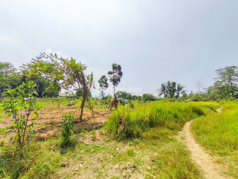 Jalan Kembang Kuning Bogor
