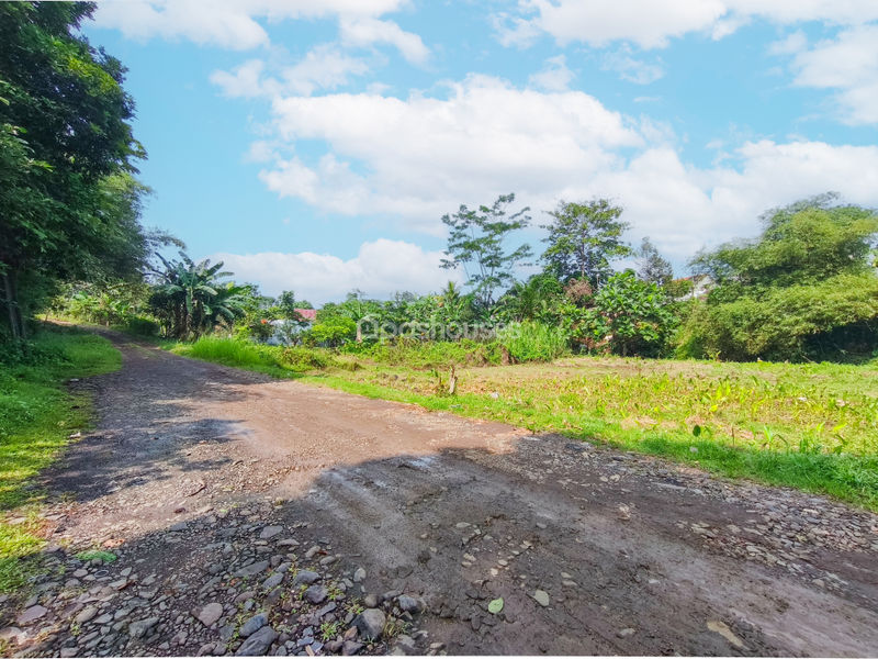 Jalan Cempaka Cihideung Ilir Bogor