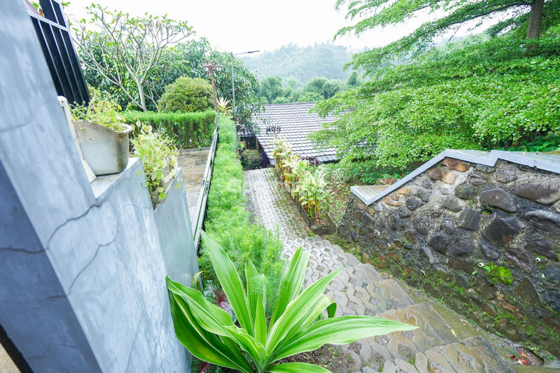 Villa Saung Ibu Bogor