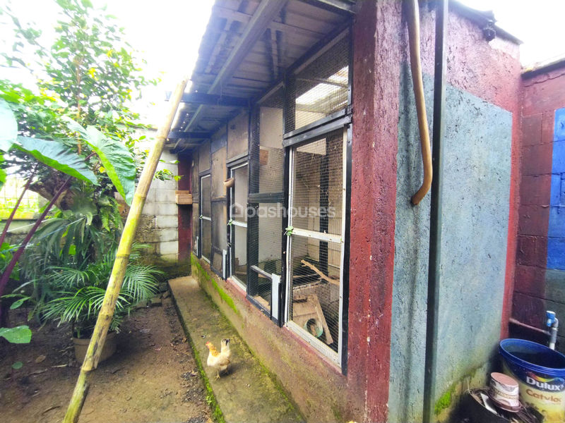 Kampung Babakan Bogor