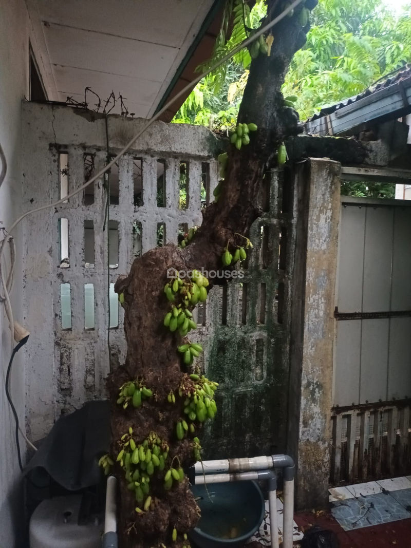 Jalan Kemandoran 1 Grogol