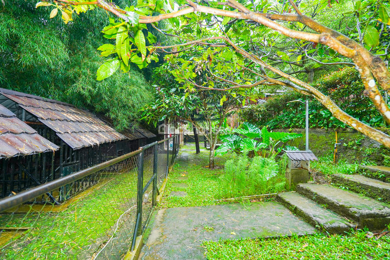 Villa Saung Ibu Bogor