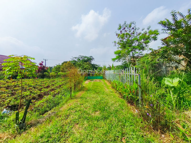 Jalan Manunggal No.39 Bogor
