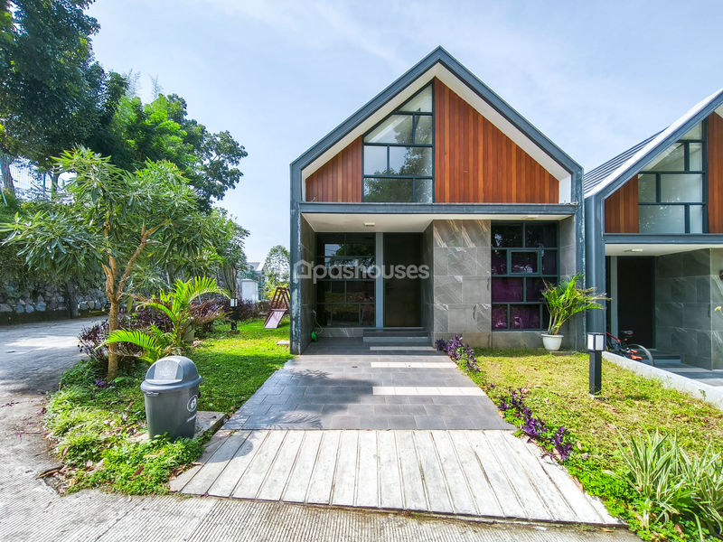 Cluster Golden Cikeas 