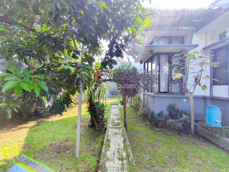 Jalan Majelis Taklim Almansyuriah No.10