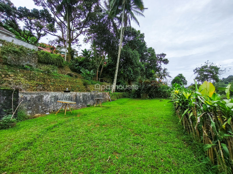 Kampung Ciliwung Riverside