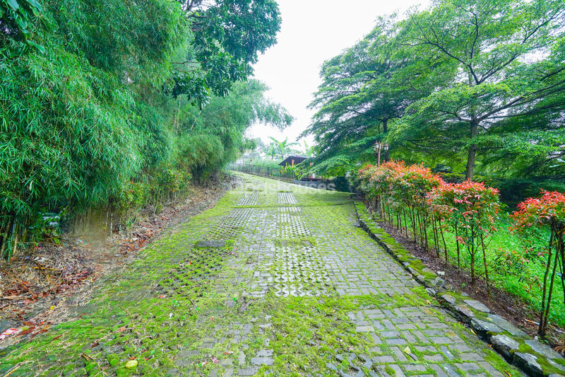Villa Saung Ibu Bogor