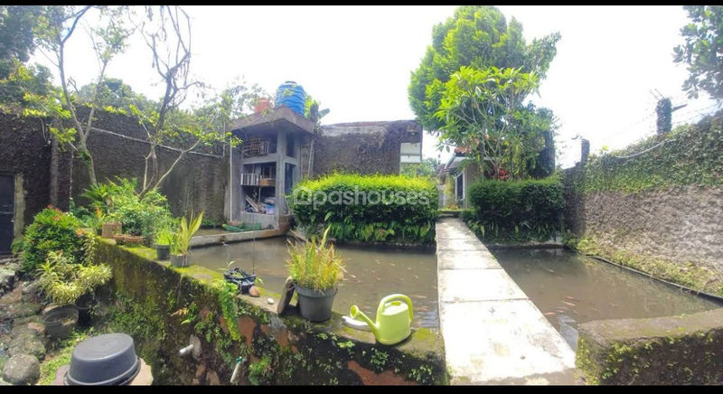 Jalan Kampung Batu Gede No.2 Bogor