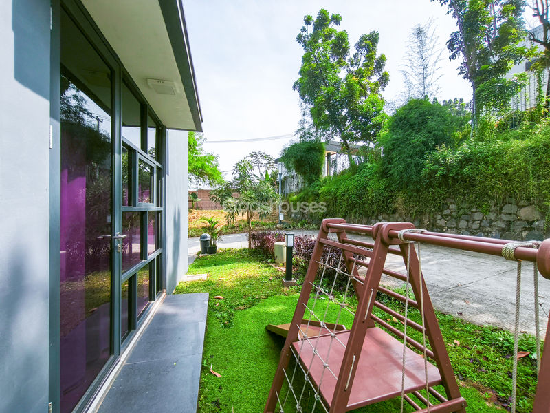 Cluster Golden Cikeas 