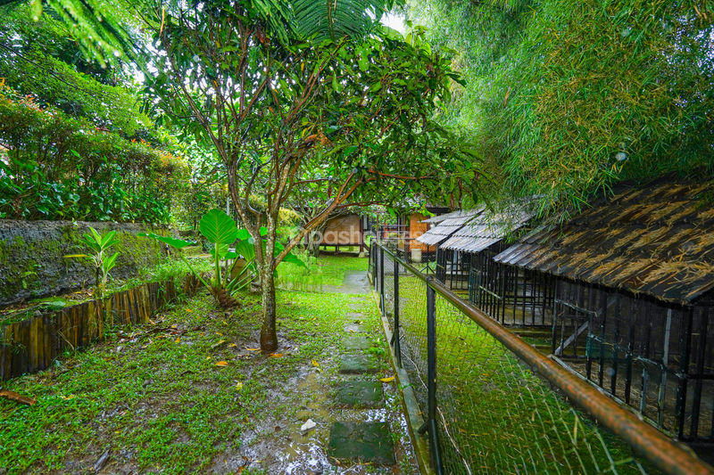 Villa Saung Ibu Bogor