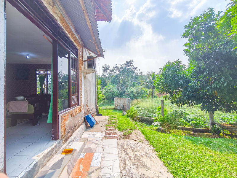 Jalan Raya Babakan No.8 Bogor