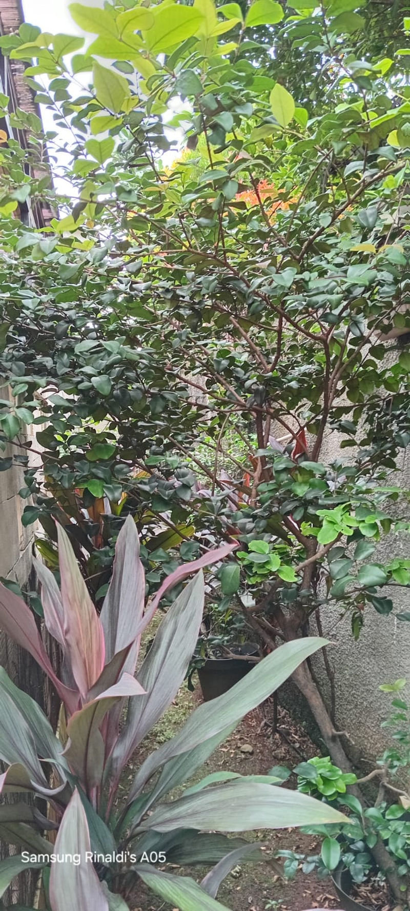 Bali View Residence Cluster